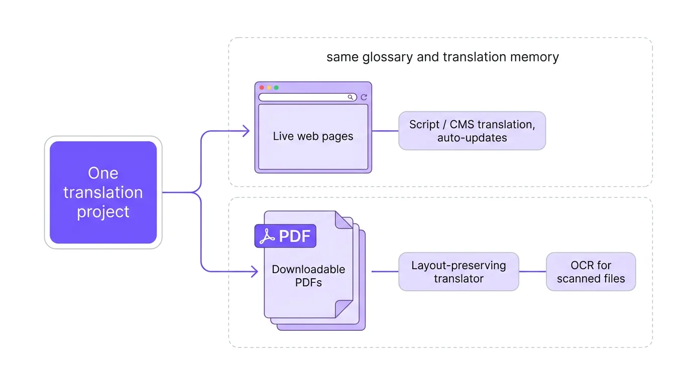 Diagram of one translation project splitting into two tracks that share the same glossary and translation memory: live web pages handled by script or CMS translation with auto-updates, and downloadable PDFs handled by a layout-preserving translator with OCR for scanned files